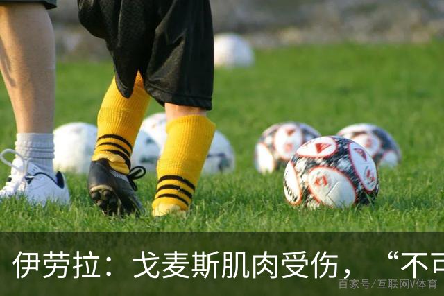 伊劳拉：戈麦斯肌肉受伤，“不可能”赶上英超赛季初